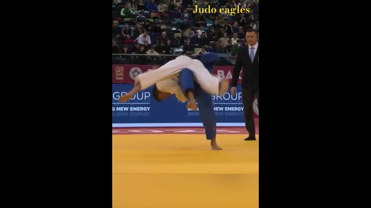 要从以下几